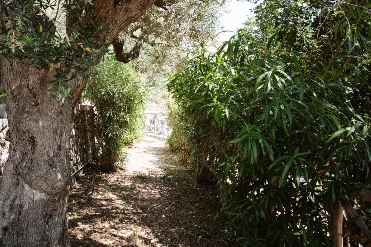 Casa Gioia Apartment Amalfi Bagian luar foto